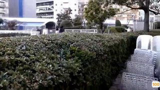 王者老司机动漫㊙️➕蜜月av侵犯在线看